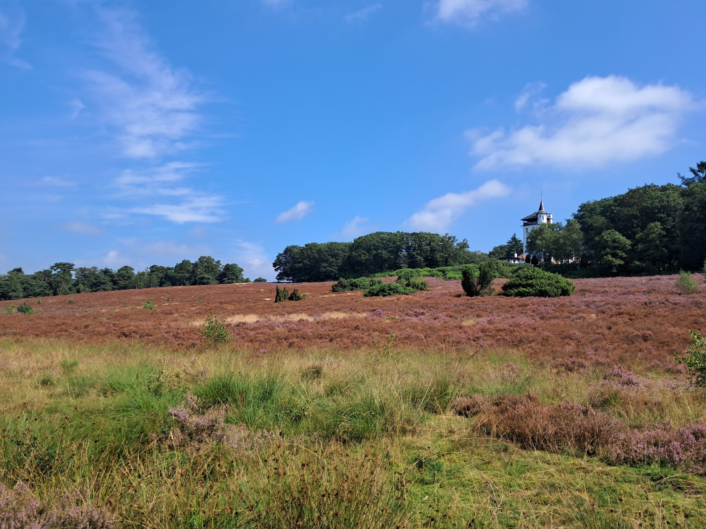 Sallandse Heuvelrug National Park